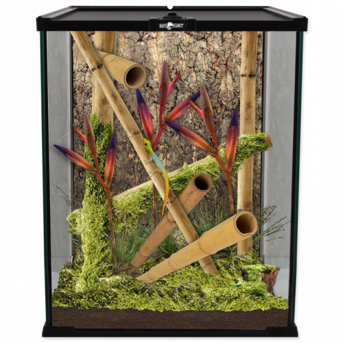 Repti planet terrarium szklane 20x20x30